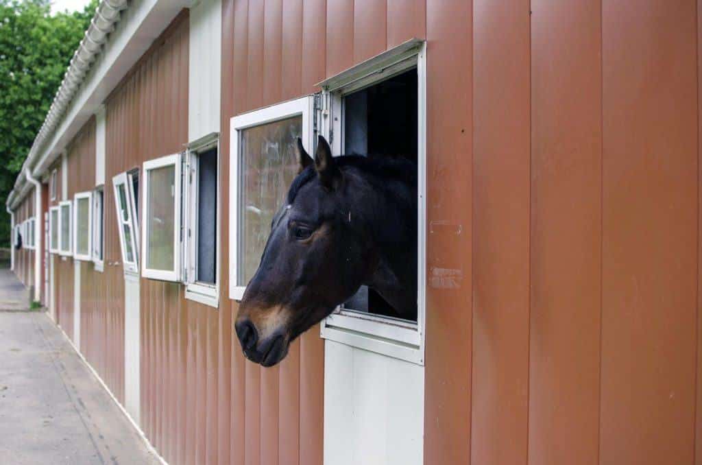 Horse Stable & Stall Kits - Metal Buildings R US